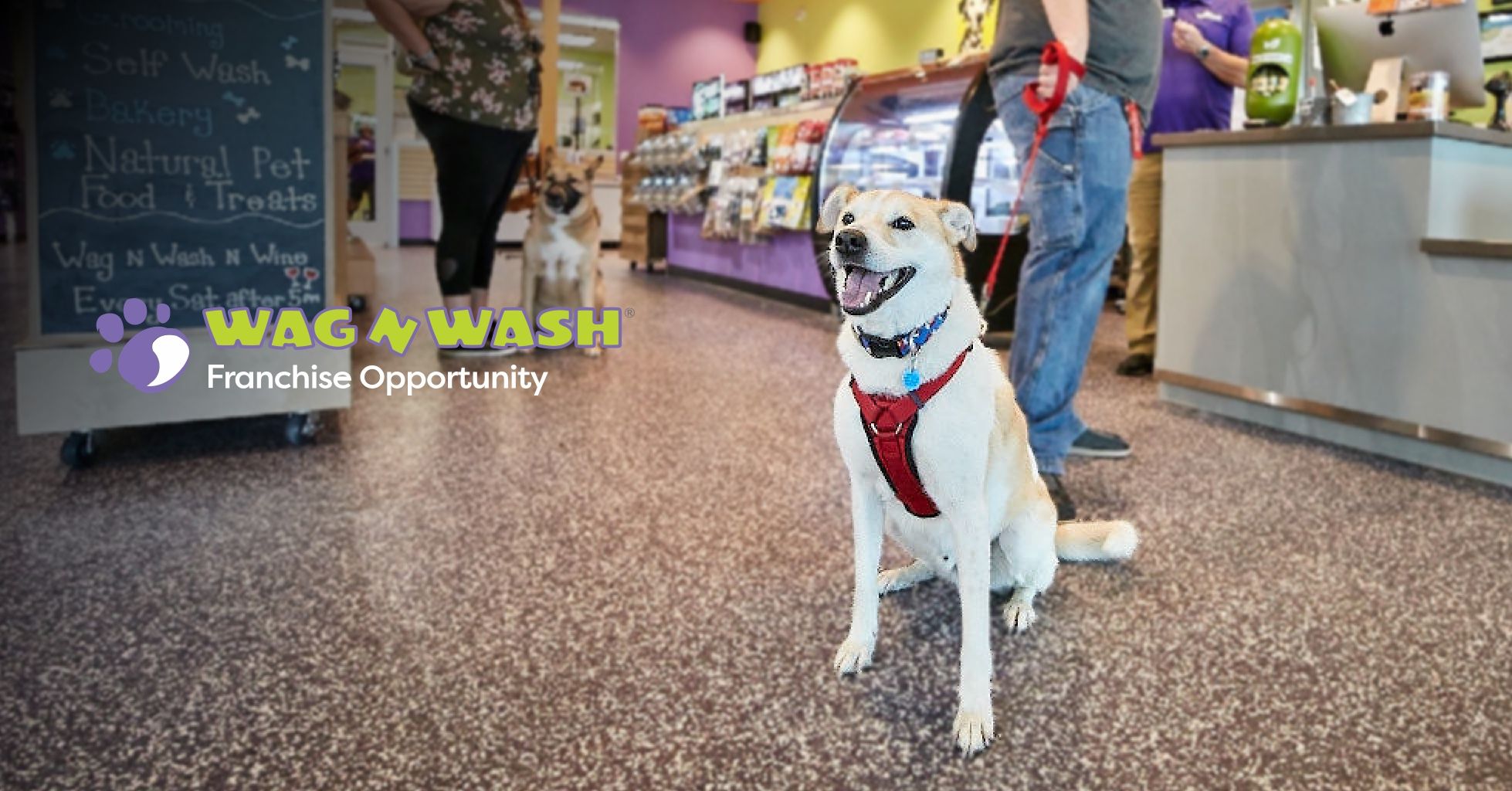 Dog smiling for a photo in a Wag N Wash store, a Dog Grooming Franchise