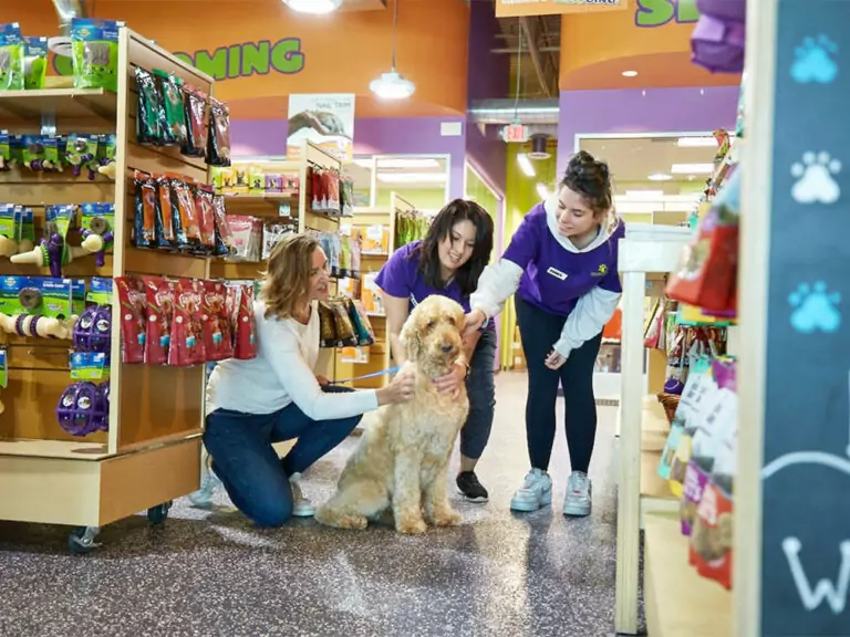 Wag N' Wash Franchise