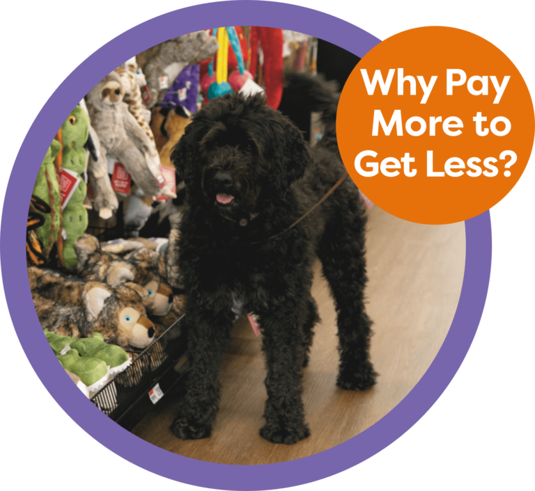 Why Pay More to Get Less Icon with Dog standing next to toys
