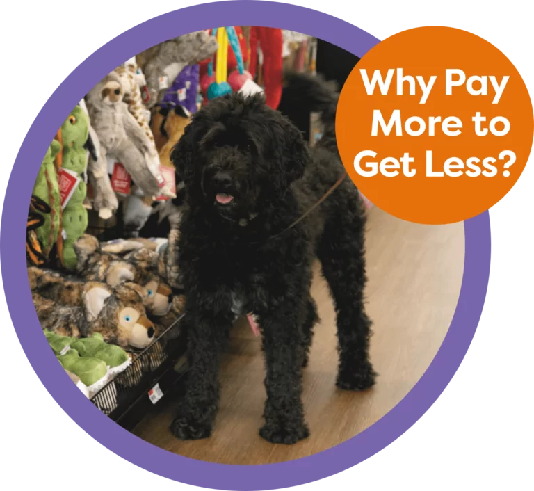 Why Pay More to Get Less Icon with Dog standing next to toys